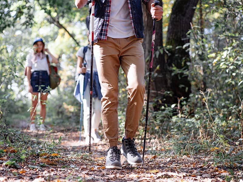 marche avec bâtons en forêt